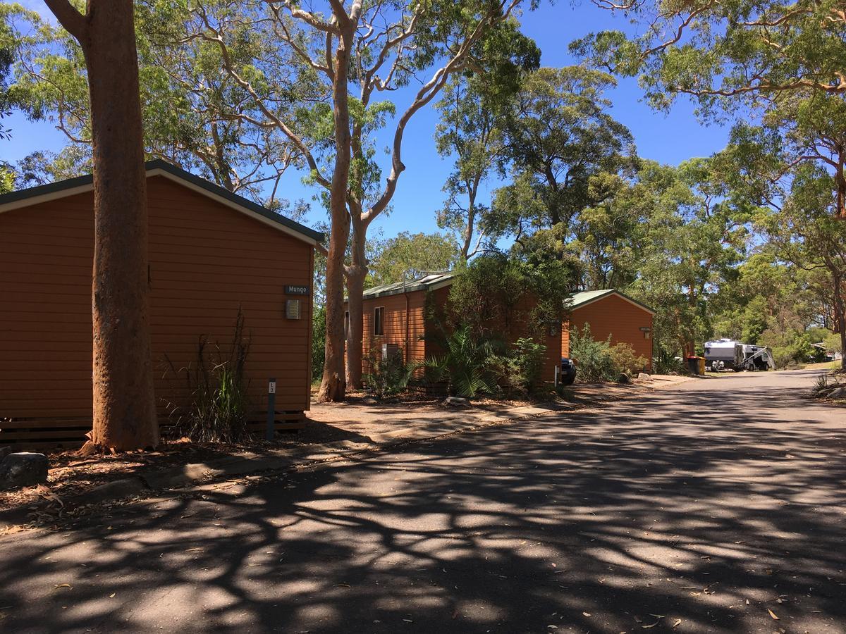 Discovery Parks - Lane Cove Cité de Cité de Sydney Extérieur photo